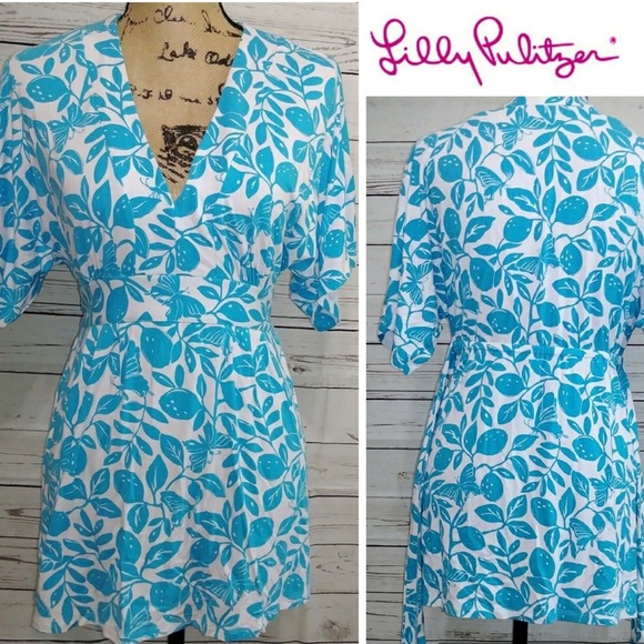Lilly Pulitzer Tops - Lilly Pullitzer Tunic Top